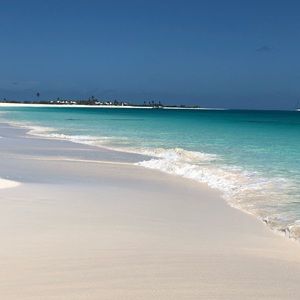 Meet your Posher, Jada